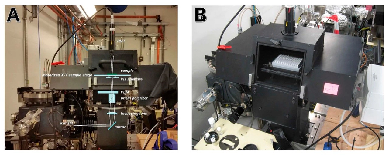 (A) Image of the optical elements (exit slit, 45° plane mirror, focusing lens, polarizer prism, PEM, iris, X–Y motorised stage, horizontal sample and PMT detector). The sample is placed on the motorised X–Y stage. (B) Picture of the 96-well plate held in the X–Y motorised stage inside the vertical sample chamber unit, redrawn from Hussain et al., 2016