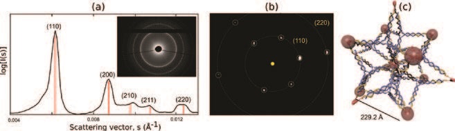 Figure 2: SAXS characterisation of C-Star crystals performed at Diamond I22 beamline. (a) SAXS powder diffraction pattern collected by illuminating a large number of individual crystallites. The black solid line shows the radial average of the 2D patterns shown in the inset. Red vertical lines mark the Bragg peaks. (b) Single crystal diffraction pattern collected using the microfocus end-station. Spots are highlighted by yellow circles. Both measurements are consistent with a BCC unit cell. (c) Plausible arrangement of the C-Stars in the BCC unit cell, with the micelle-like hydrophobic cores located at the lattice points, highlighted by red beads.