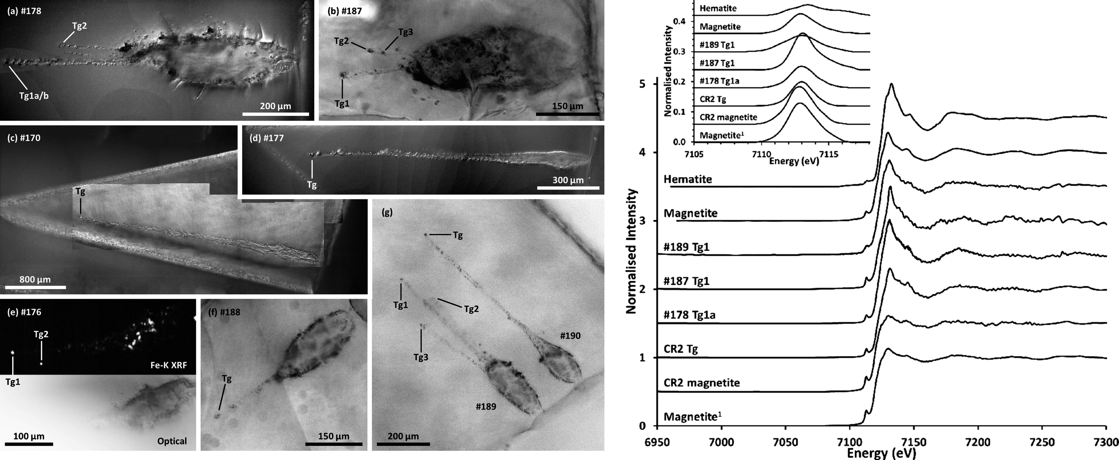 Optical microscope images (left) of the Stardust aerogel keystones and tracks and their corresponding Fe-K XAS spectra (right). 