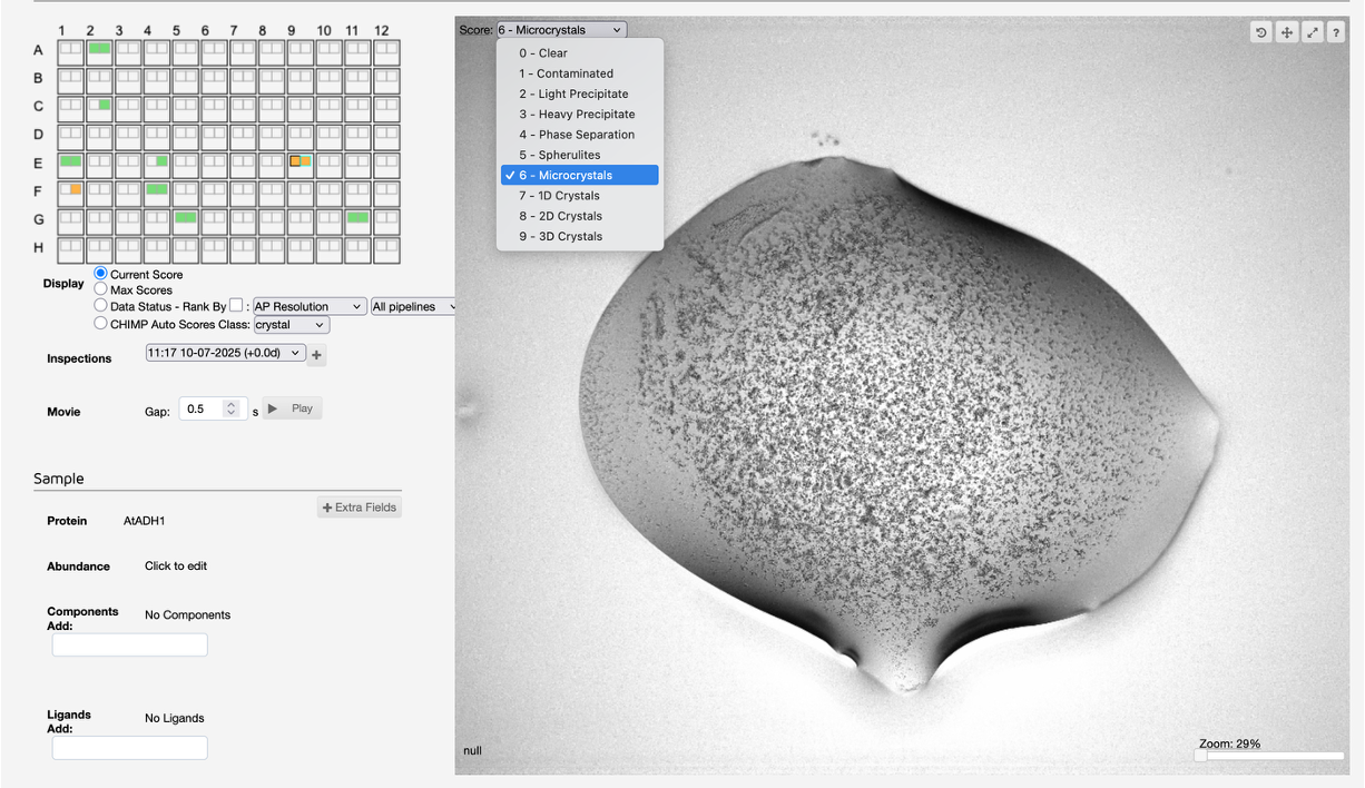 Screen capture of the ISPyB interface of a plate stored at VMXi. In the top left of the droplet image you can score the droplets. Those scored as '6 - microcrystals' will be flagged to the VMXm team