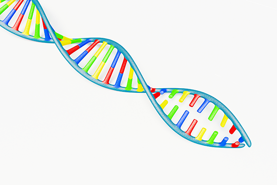 DNA replication