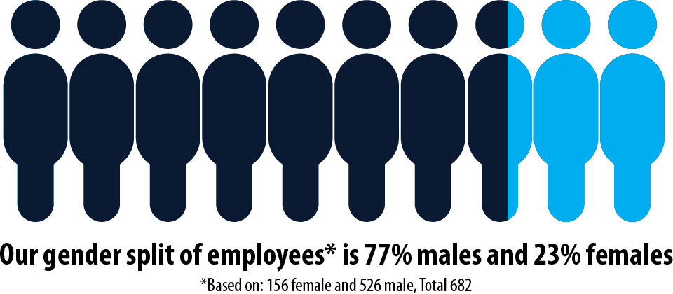 Gender plit of employees