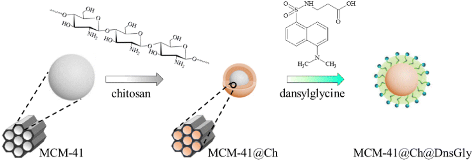  Modification of the MCM-41 NPs with chitosan, followed by surface modification of MCM-41@Ch with DnsGly through interaction between the hydroxyl groups of chitosan and carboxylic acid groups of dansylglycine (see Scheme S1, ESI†).