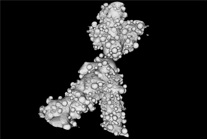 3D tomographic image showing a single strut of an un-edged stent. The stent is produced by additive powder manufacturing methods, leaving it with a lumpy surface as seen in the image. The final surface finish will only be achieved after an edging step to remove the rough surface