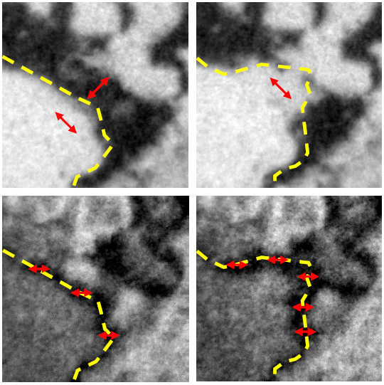 Figure 1: XMLD-PEEM images showing AF domain rotation and domain wall motion after current injection into a CuMnAs film grown on GaP. (Top) sample oriented to show AF domains before (left) and after (right) current injection. (Bottom) sample oriented to show the corresponding AF domain wall before (left) and after (right) current injection. The field of view is 4 μm. The red arrows indicate the local AF axis and the broken yellow lines indicate the position of the AF domain wall. Adapted from P. Wadley et al., Nat. Nanotech. 13, 362 (2018).