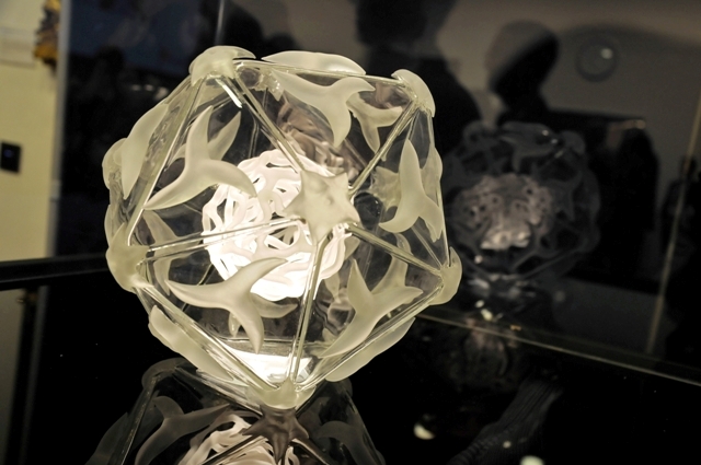 A glass sculpture of the hand foot and mouth disease virus, solved at Diamond