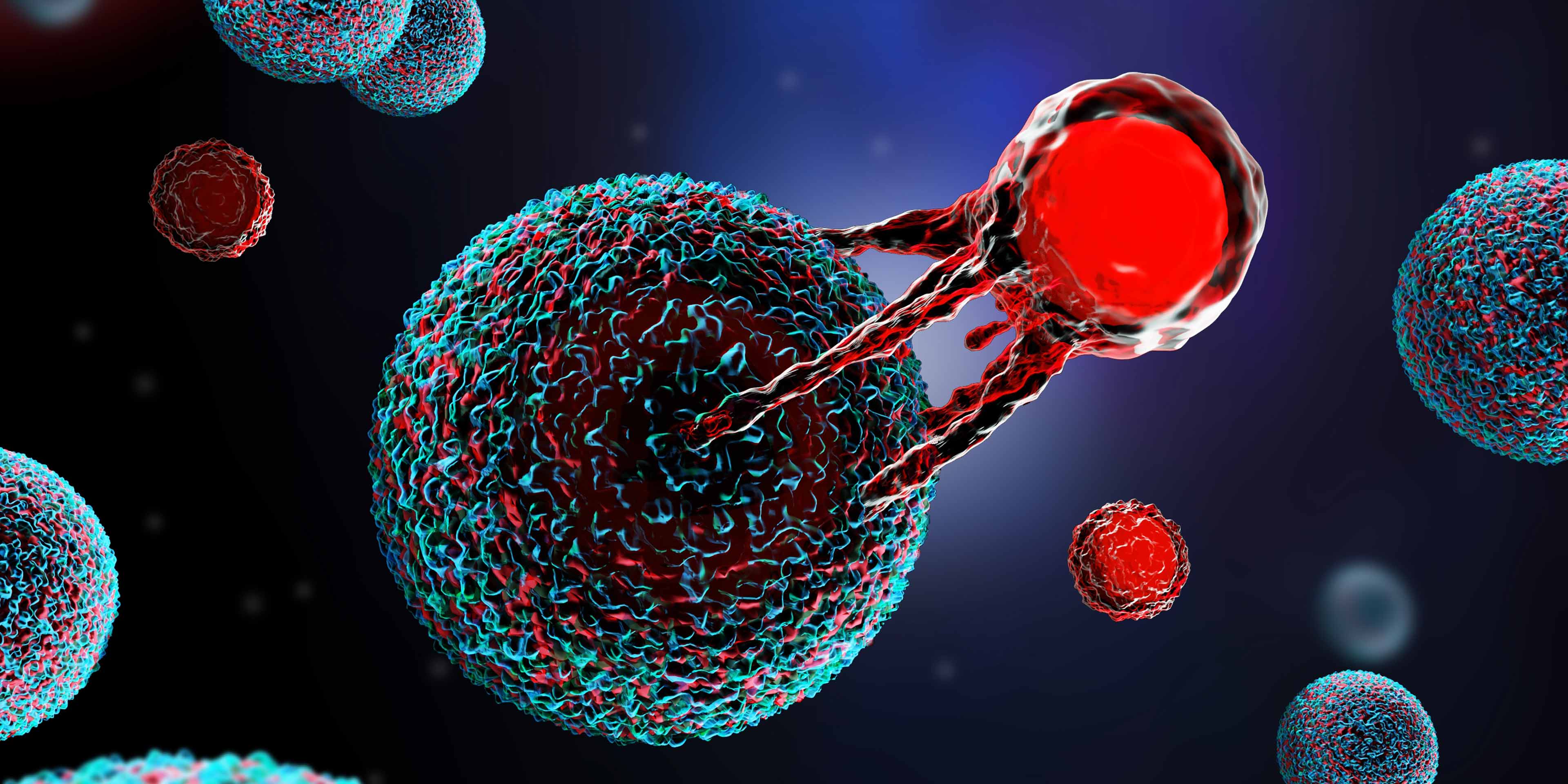 From Protein to Structure with Diamond services