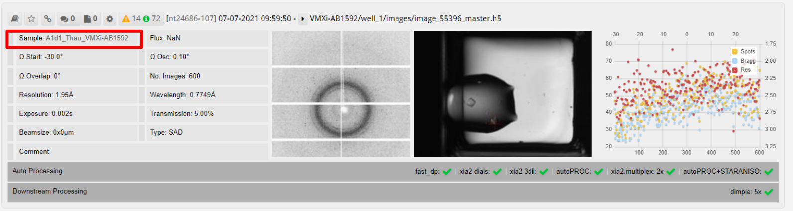 Sample View