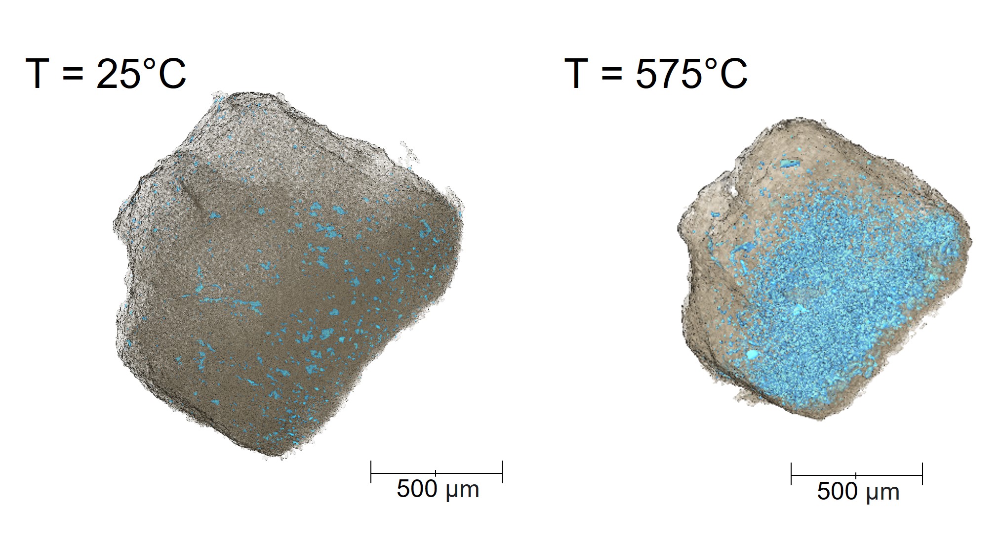 3D renderings of a single walnut shell particle (in grey) and the pore network (in light blue), before and after pyrolysis - Credit Queen Mary University of London, University College London and Diamond Light Source - I-13 