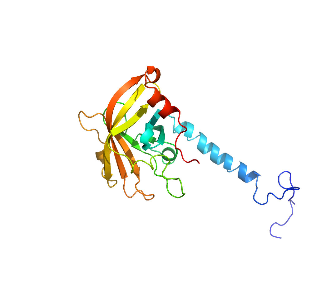 Image Research could help to develop more effective oral health treatments