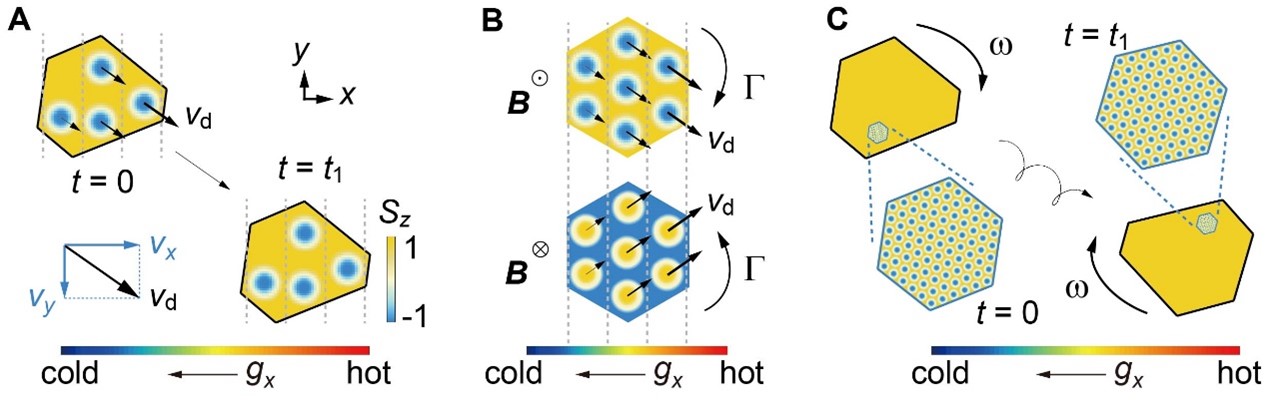 Figure 1: Illustration of how skyrmions move and rotate under a temperature gradient: (a) Isolated skyrmions move in straight lines, influenced by a temperature gradient. They travel towards the bottom-right, with their speed depending on the temperature. (b) When skyrmions form crystallites, they not only move but also start to rotate due to differences in speed across the lattice. This rotation can reverse direction if the magnetic field is flipped. (c) A larger cluster of skyrmions both rolls and moves forward, similar to a rolling wheel.