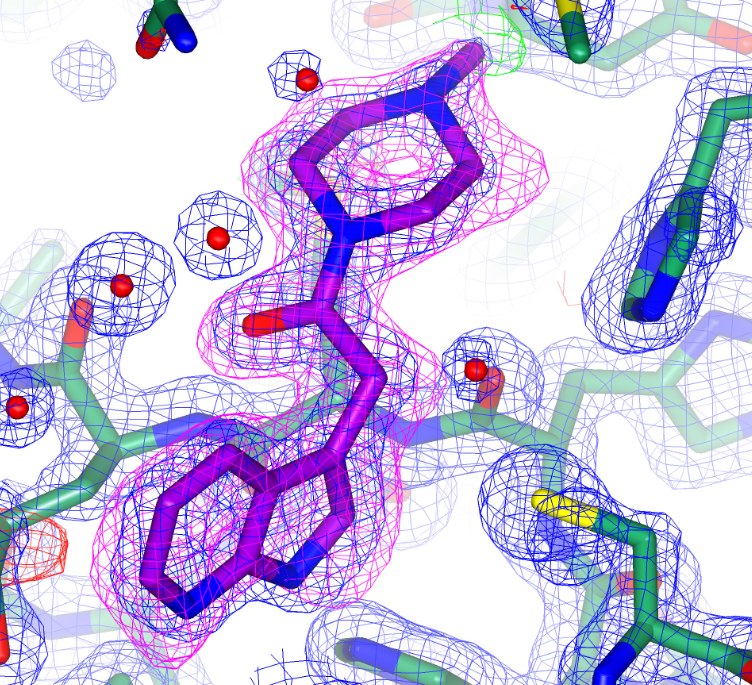 Modelled Mpro structures