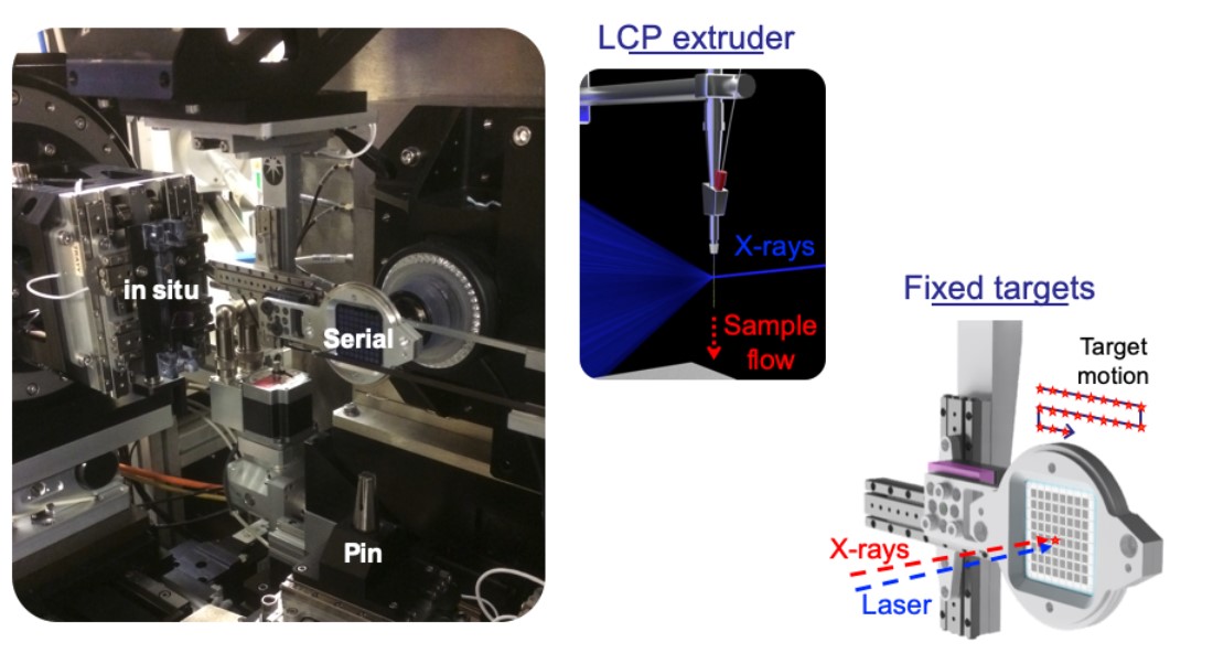 Composite image highlighting the variety of approaches at the beamline