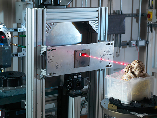 Fossil skull in Diamond’s beamline I12 