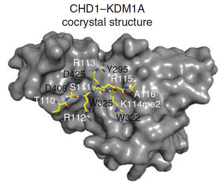 Image Current Research Interests