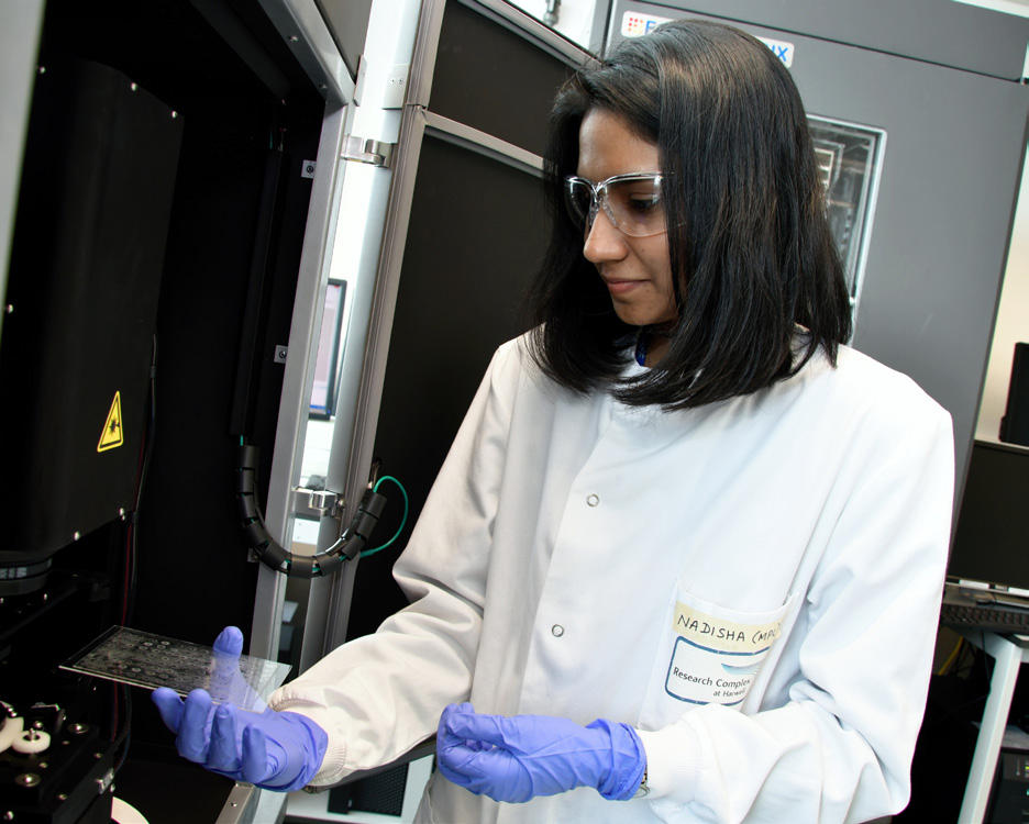 Nadisha Gamage, Research Technician, working in the MPL.