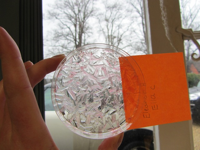 Children grew their own crystals using Epsom salts