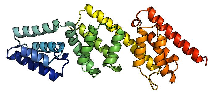 A coloured  ribbon diagram of MxiC, from blue at the N terminus to red at the C terminus.