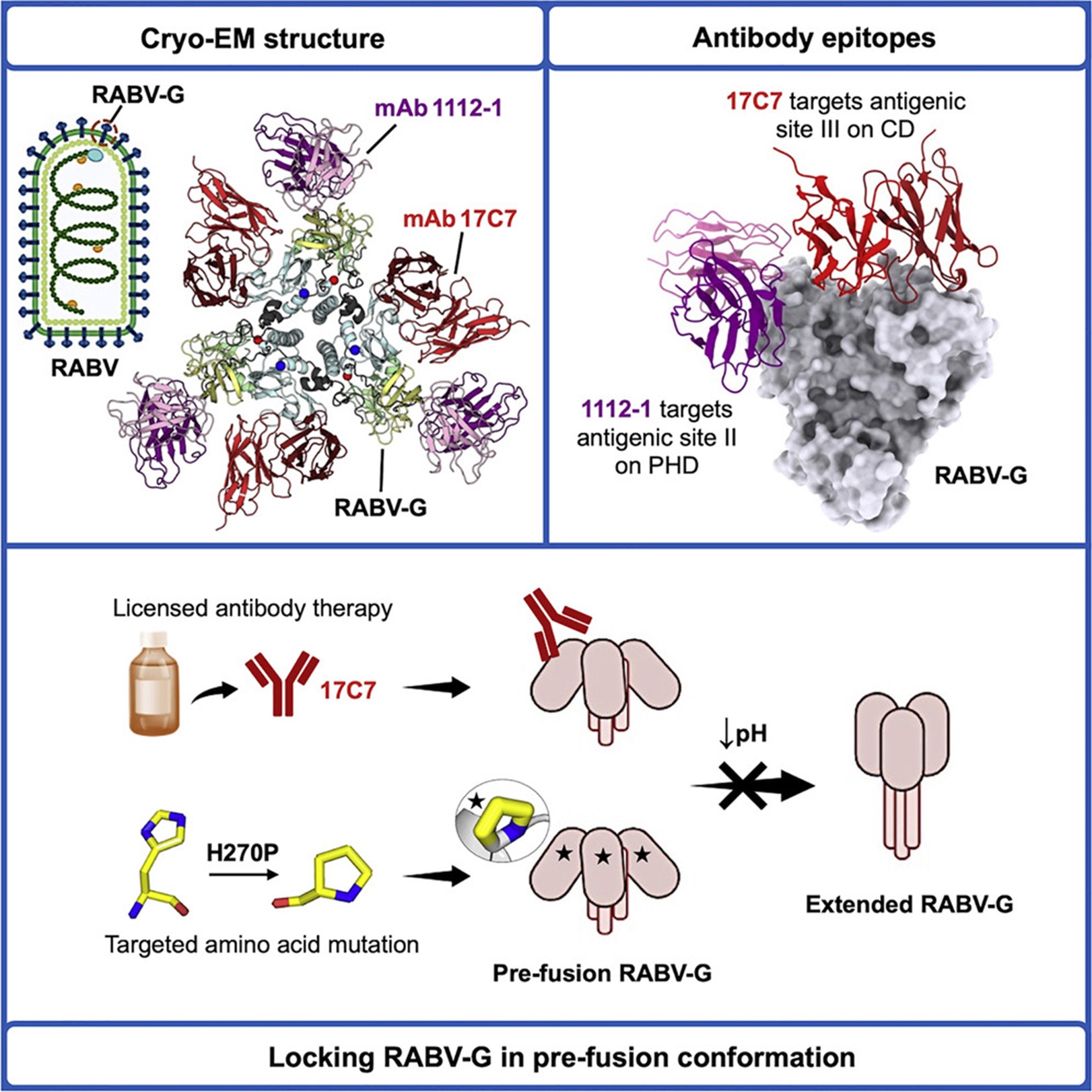 Graphical abstract from DOI: 10.1016/j.chom.2022.07.014, reused under the CC BY 2.0 license.