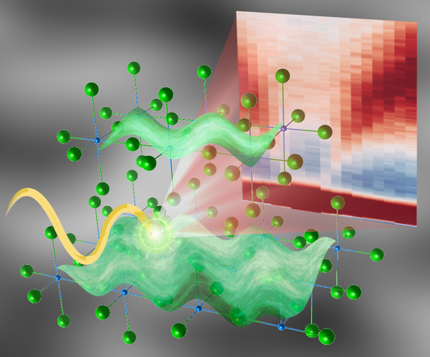 Resonant inelastic x-ray scattering reveals acoustic plasmons associated with oxygen atoms in hole-doped layered cuprate superconductors.