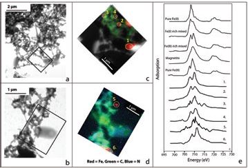 Figure 3: TEM images of web-like organic fibrils (a) and bacterial cells and organic fibrils (b), show darker 'inclusions', investigated using SXM on beamline 108. The XRF maps of these organic structures shows carbon-rich (green), nitrogen-rich region (blue) and iron-rich (red) regions (c, d). The NEXAFS spectra of Fe-rich regions were compared with spectra of Fe particles from the Southern Ocean5, showing that Fe(III) oxides are associated with organic matter (e).