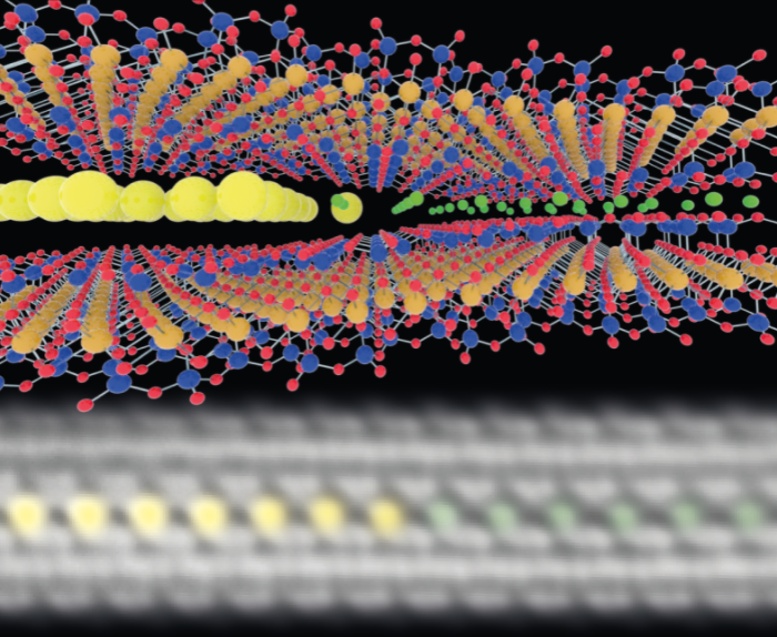Fig. 1. Top panel: a schematic atomic model showing the ion exchange process, where the yellows balls denote the ions from electrolyte (Cs+ in this case) and the green balls denotes the pristine ions (K+) in a biotite crystal. <br/><br/>Bottom panel: an experimental cross-sectional ADF-STEM image showing the ‘snap shot’ taken during the Cs+ exchange process in a biotite crystal.