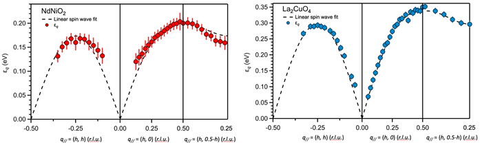 Fig. 3: Dispersion of magnetic excitations in NdNiO2 (Left) and La2CuO4 (Right) with the corresponding fits to the prediction of the linear spin wave theory.