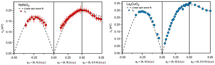Fig. 3: Dispersion of magnetic excitations in NdNiO2 (Left) and La2CuO4 (Right) with the corresponding fits to the prediction of the linear spin wave theory.  