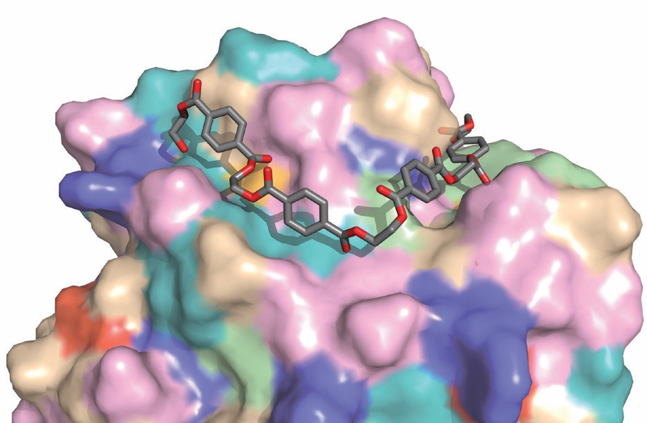 Figure 3: The PETase enzyme structure is shown bound to a polymer of PET plastic. Image<br/>credit: H.L. Woodcock.