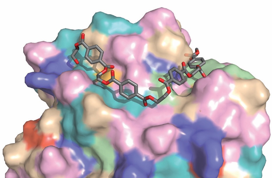 Figure 3: The PETase enzyme structure is shown bound to a polymer of PET plastic. Image
<br/>credit: H.L. Woodcock.