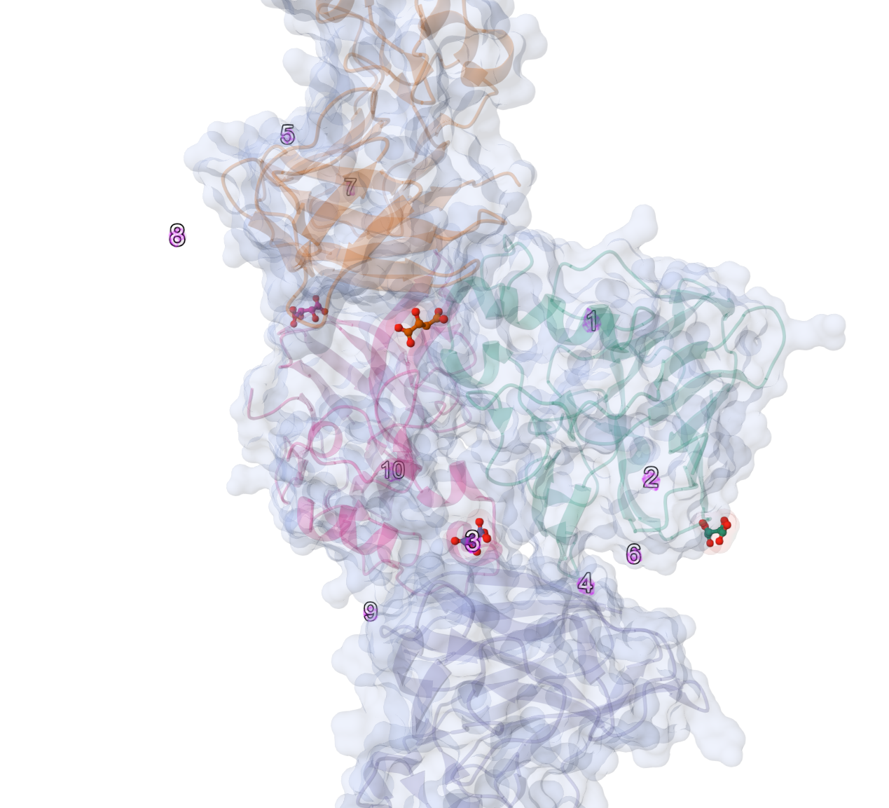 Image Science in focus