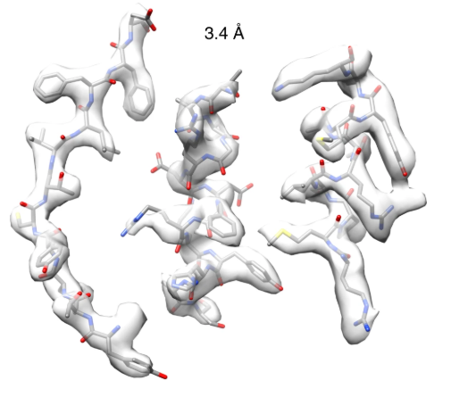 By masking out a single helical turn and treating this as a single particle, the researchers were able to improve the resolution substantially