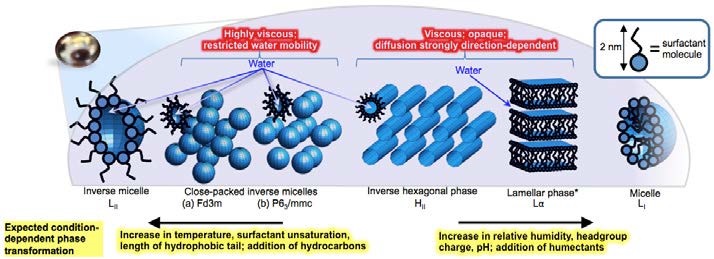 Figure 1: Complex 3D self-assembly of surfactant molecules in proxies for atmospheric aerosols: lyotropic phases formed; impact on key properties of atmospheric aerosols (highlighted in red); and proposed condition-dependent phase changes (yellow). All depicted phases were observed during the experiments on levitated aerosol droplets. *The lamellar phase can exist over a much wider range of relative humidities than the other phases, accommodating variations in water content by changing the spacing between the surfactant bilayers.