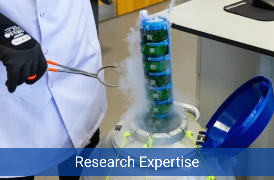 research expertise