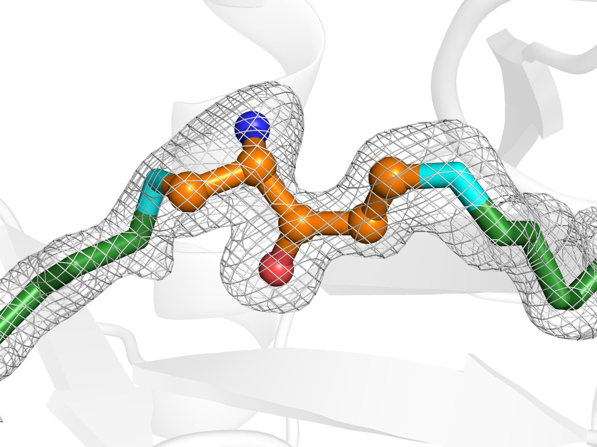 Significant discovery of vitamin B6 biosynthesis enzyme Diamond