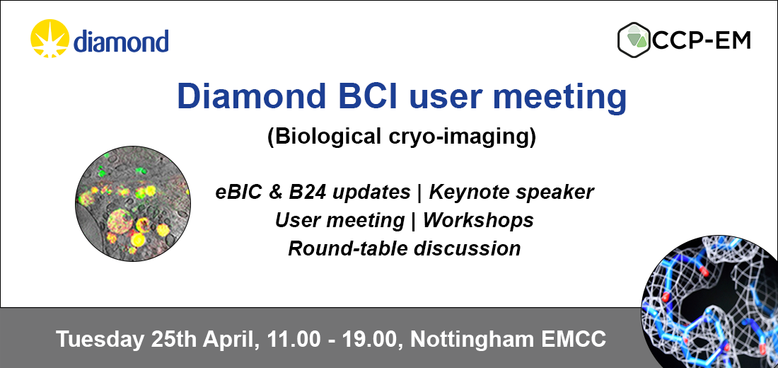 BCI user meeting