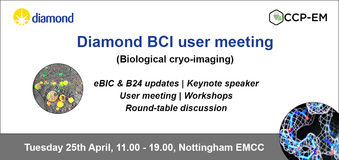 BCI meeting