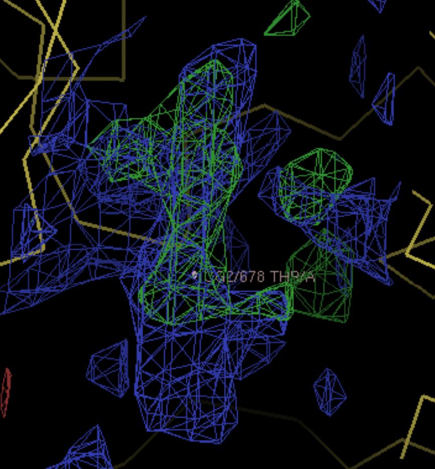 Figure 2. 2Fo-Fc (blue) and Fo-Fc (green) density maps after molecular replacement. Density for the substrate is visible