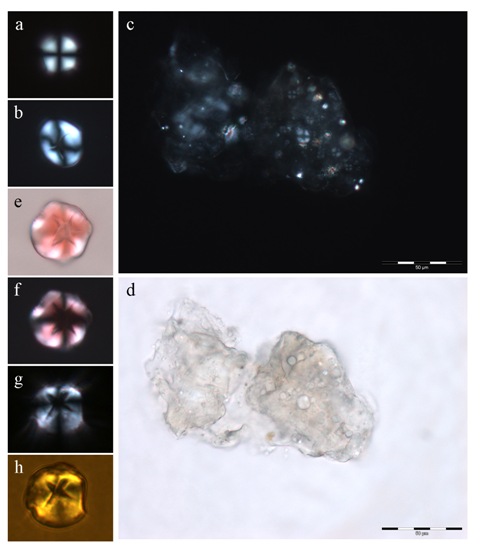 Alzheimer's research at Diamond