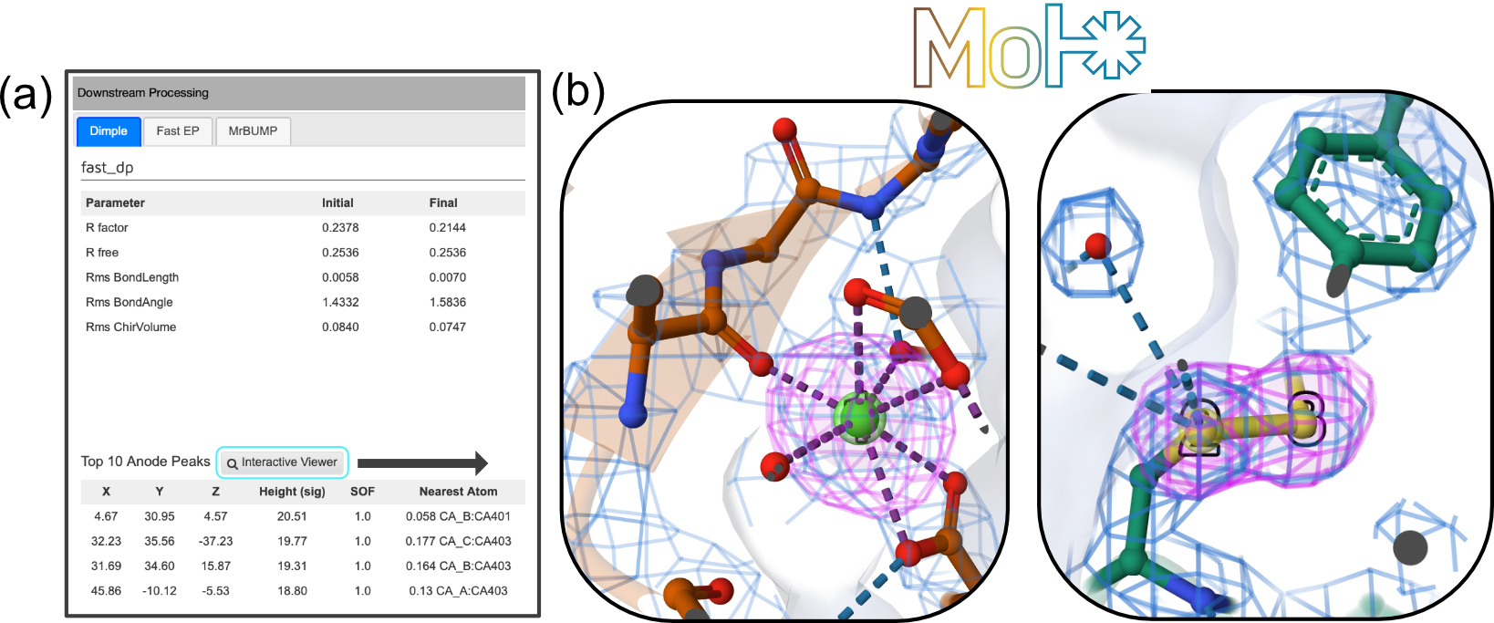 (a) Updated Dimple information panel in Synchweb showing the top 10 peaks in the ANODE map and a button to launch an interactive Molstar viewer. (b) Example snapshots taken from inside the interactive viewer, displaying non-covalent interactions in a calcium binding site of Thermolysin (left panel) and a disulphide bond in Thaumatin (right panel). Anomalous difference map contoured at 3 sigma (magenta), 2Fo-Fc map 1.5 sigma (blue). 