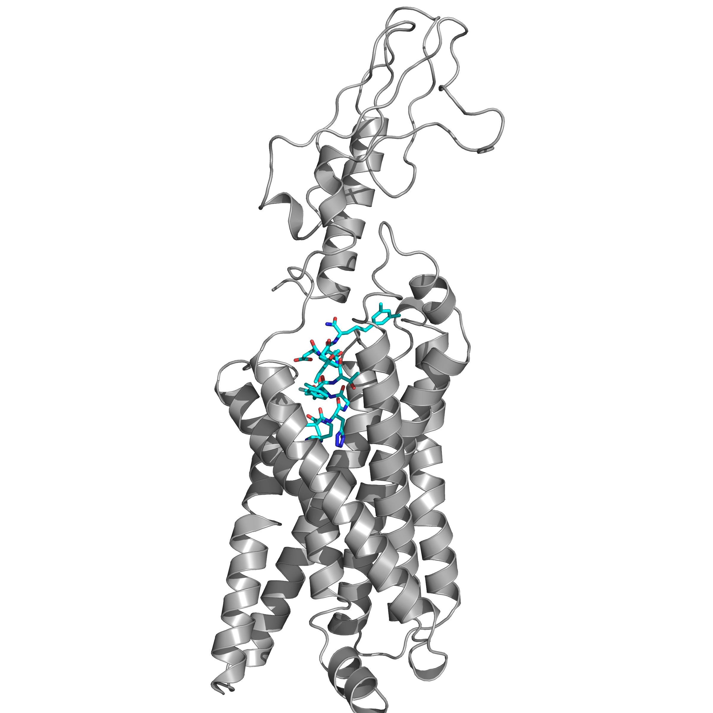 Structure of human GLP-1 receptor in complex with an agonist peptide