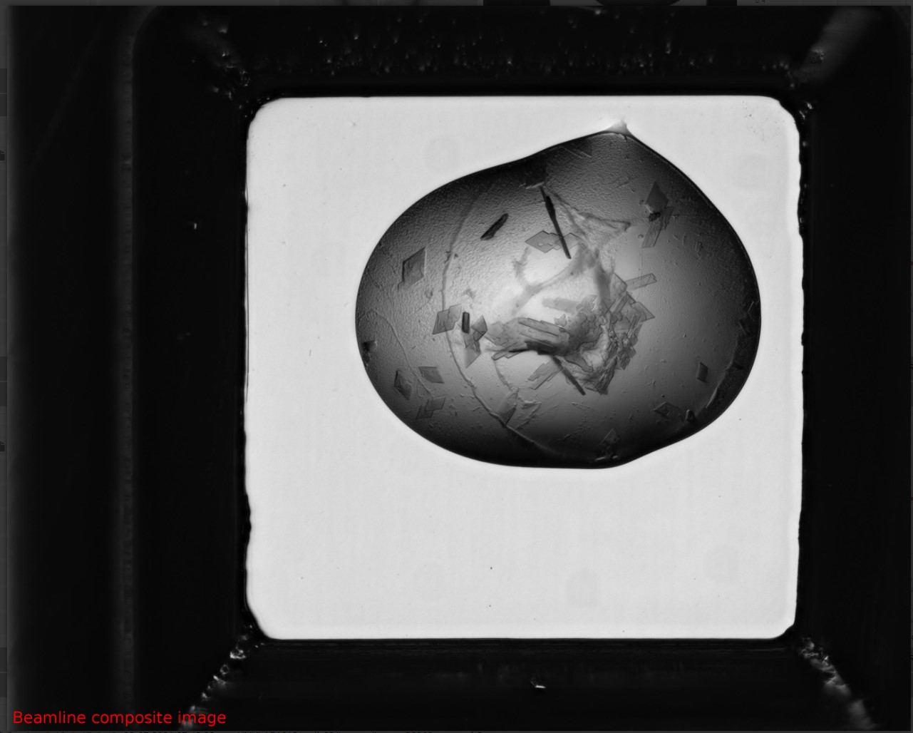 beamline composite
