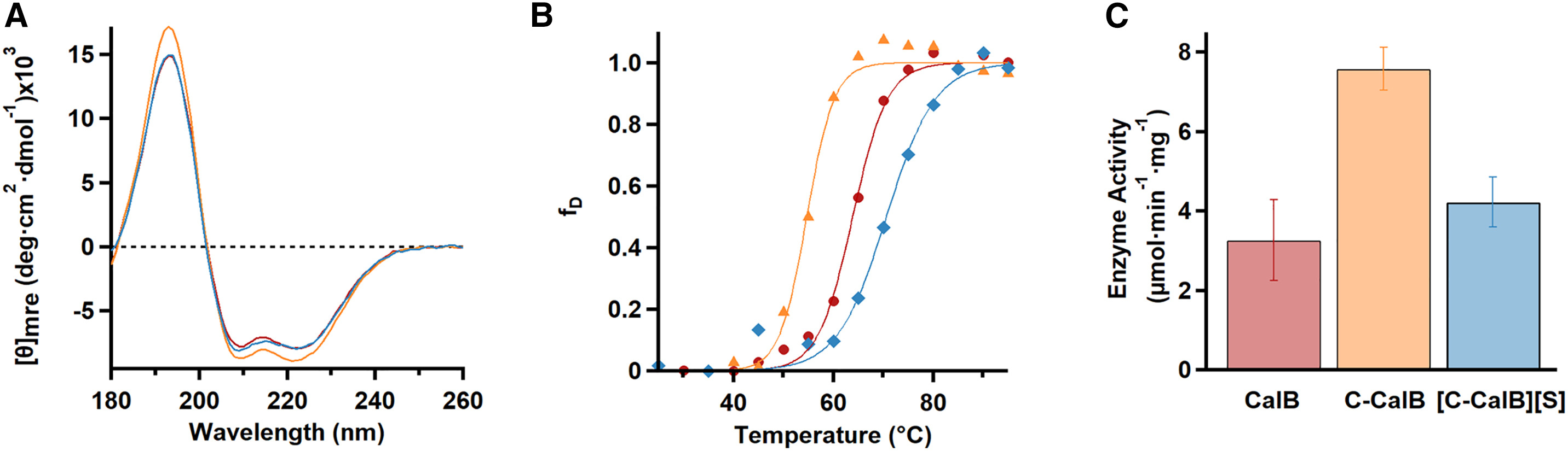 (A) Far-UV circular dichroism spectra showing mean residue ellipticity (mre) against wavelength for aqueous solutions of CaLB (red), C-CaLB (orange), and [C-CaLB][S] (blue). <br/>(B) Plot of fraction denatured (fD) for CaLB (red circles), C-CaLB (orange triangles), and [C-CaLB][S]aq (blue diamonds). Data fitted with sigmoid functions (solid lines) in accordance with the two-state model of denaturation. <br/>(C) Plot of enzyme activity against pNPB  for CaLB (red), C-CaLB (orange), and [C-CaLB][S]aq (blue) (error bars represent standard deviations, n ≥ 3). 