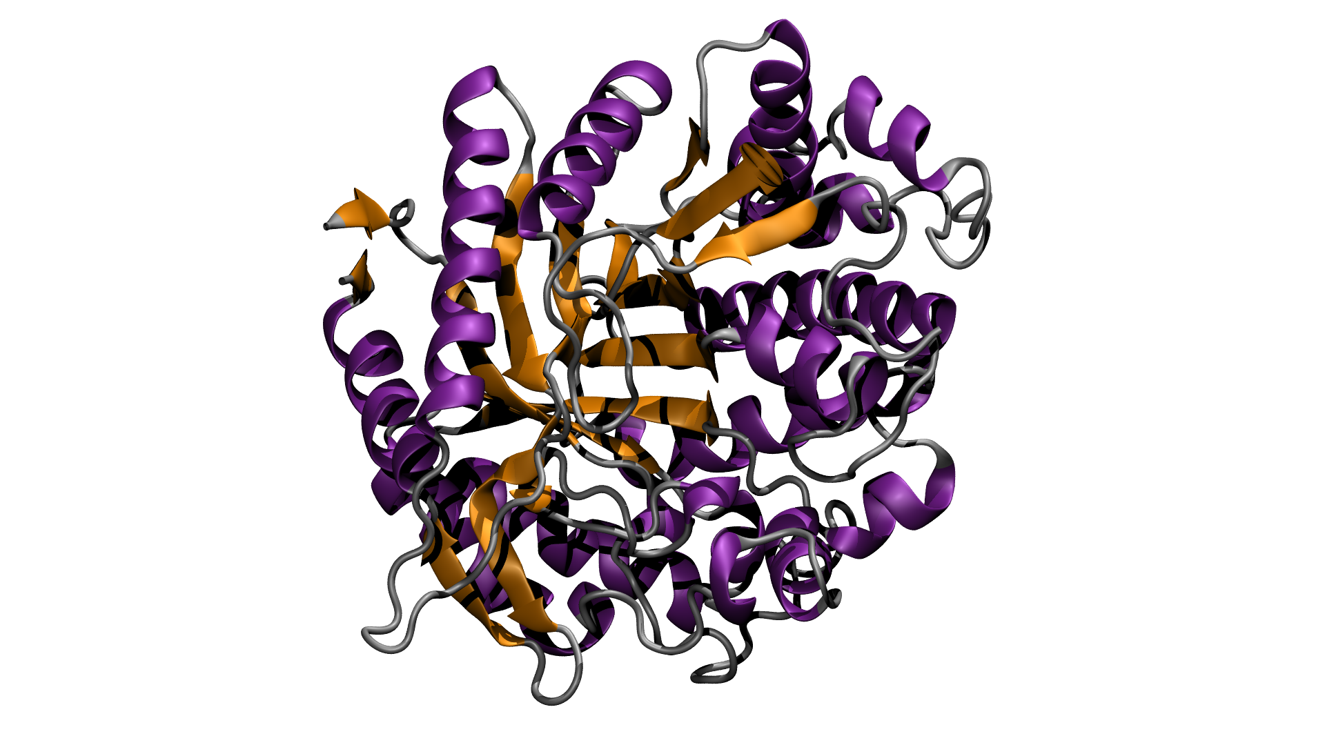 Fig. 1: A 3D rendering of the modified glucosidase enzyme
