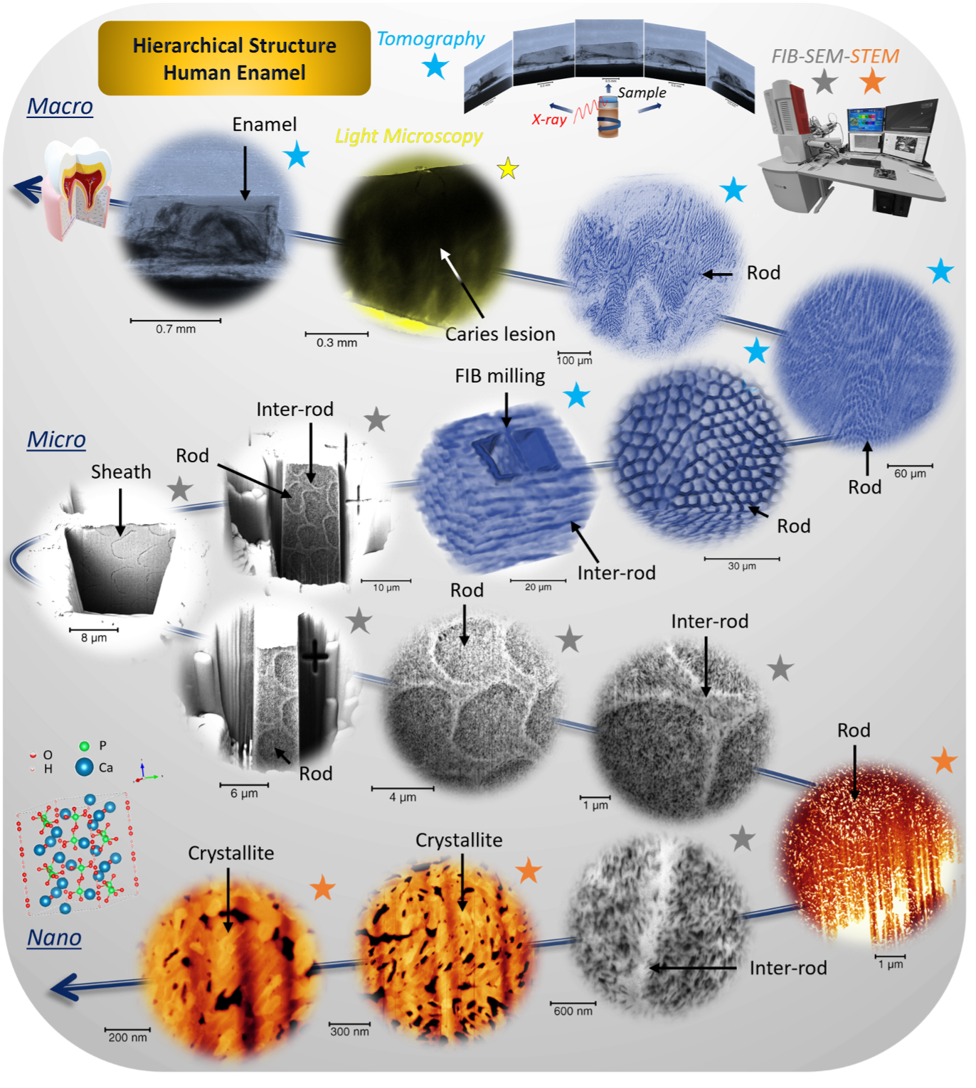 Graphical abstract of the paper