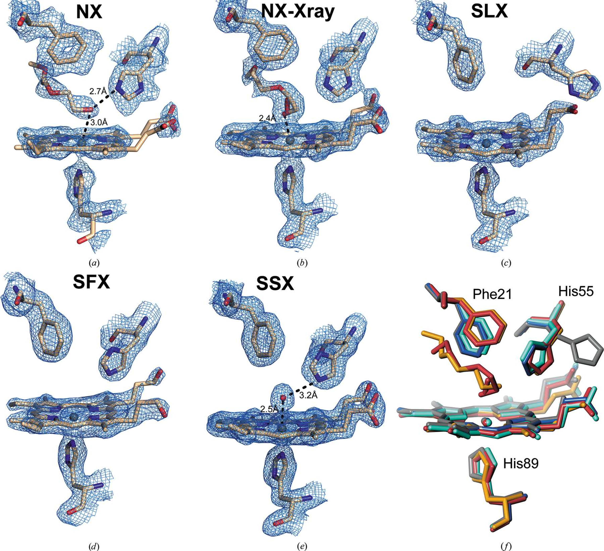 Heme sites for (a) the neutron structure and (b) the X-ray structure from the same crystal after the neutron structure had been obtained. Note the presence of a PEG molecule at the heme distal site in both cases. (c) Serial Laue structure showing a 5c site. (d) XFEL structure of DHP-B protomer B. (e) The synchrotron serial crystallography (SSX) structure. Note the distal water molecule coordinating the heme iron at the axial position. (f) Superposition of the nonhemichrome heme site for the different structures in this work. NX structure, orange; NX-Xray structure, red; SFX structure, blue; SSX structure, turquoise; SLX structure, grey.<br/><br/>Image reused from DOI: 10.11107/S2052252522006418 under the CC BY 2.0 license. 