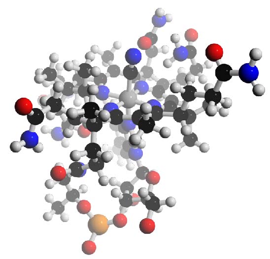 Solved structure of B12