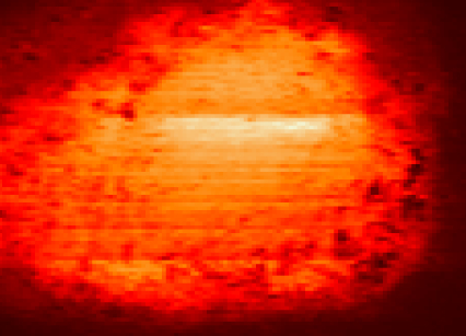 Photothermal expansion image of DLD1 cell measured using silicon cantilever