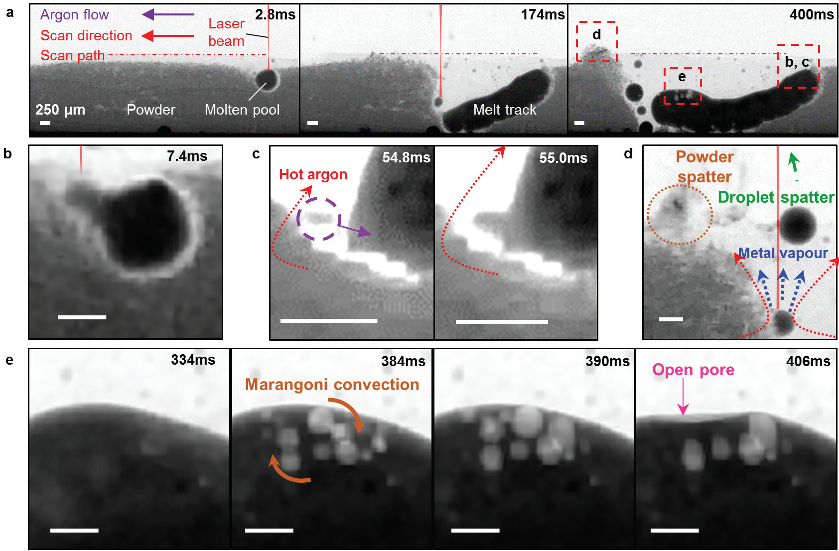 Figure 1: Time series radiographs showing (a) the evolution of a single layer Invar 36 melt track, whereby the melt track formation is driven by<br/>(b) molten pool wetting and (c) powder entrainment, and the evolution of (d) spatter and (e) porosity.