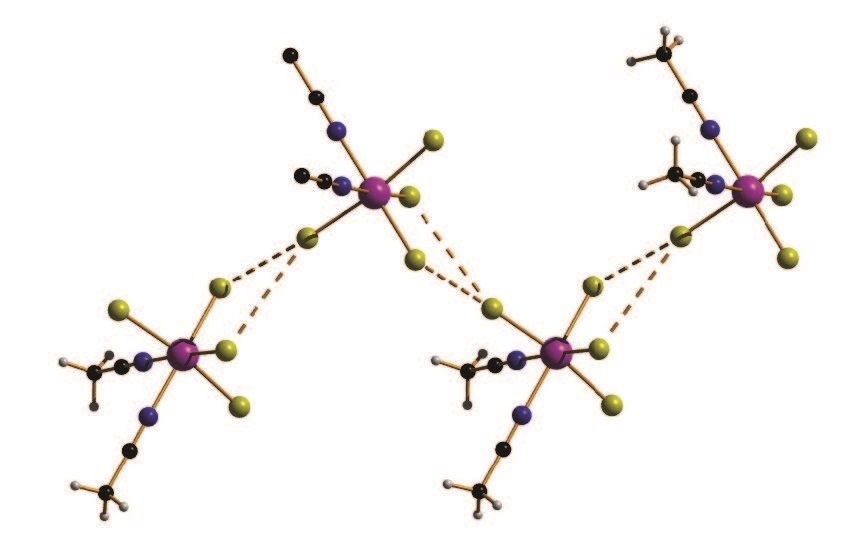 Figure 1: The structure of compound 1, highlighting the zig-zag chains and the short halide-halide contacts (dashed lines). Colour code: Re = pink, C = black, N = blue, Cl = yellow, H = white.